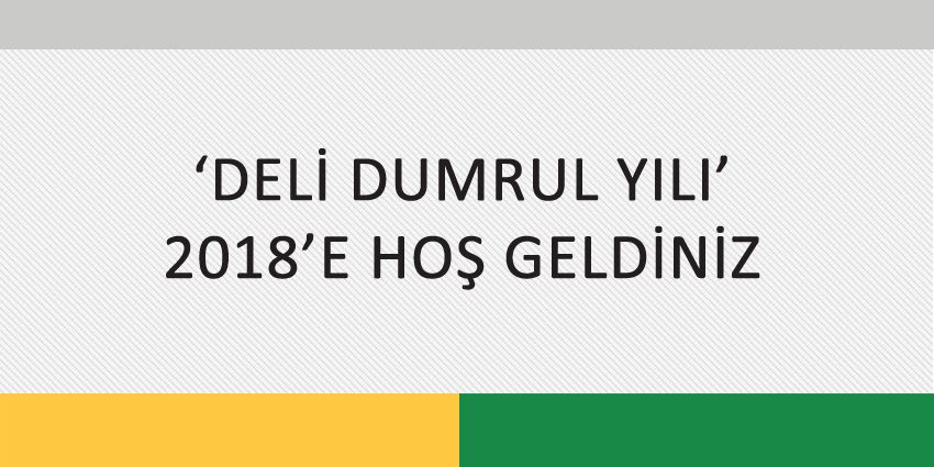 ‘DELİ DUMRUL YILI’ 2018’E HOŞ GELDİNİZ