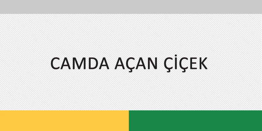 CAMDA AÇAN ÇİÇEK