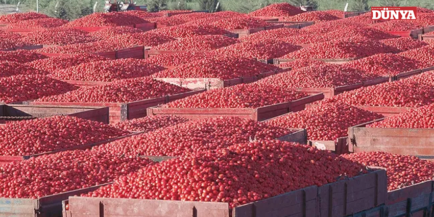 TARLADAKİ ATEŞ PAZARA DA YANSIYOR