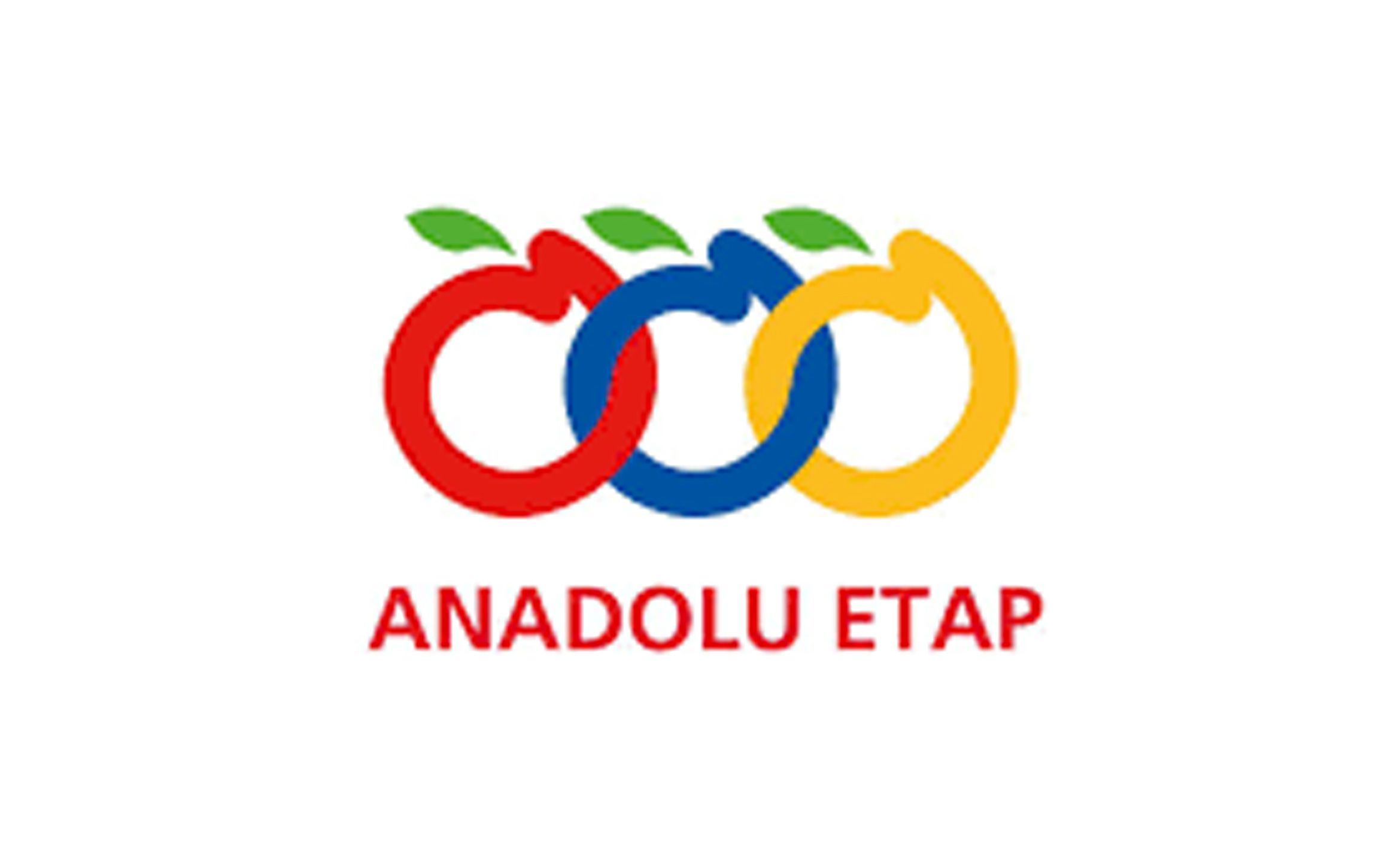 ANADOLU ETAP